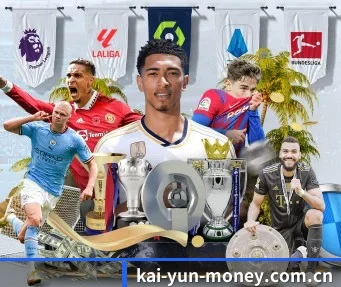 开云 APP
